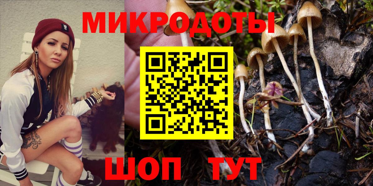 Галлюциногенные грибы Psilocybine cubensis  Галлюциногенные грибы мицелий  Вход с VPN  Воскресенск 